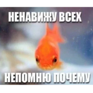 Sticker мда аста момент - 9