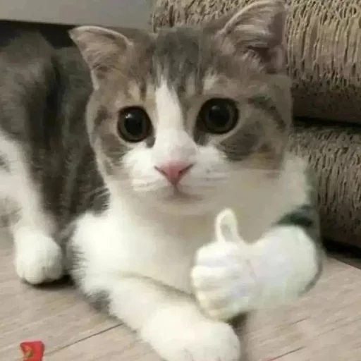 Sticker астероиды - 10