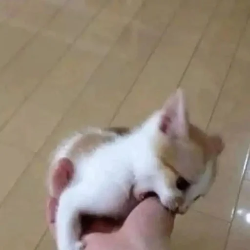 Sticker астероиды - 9