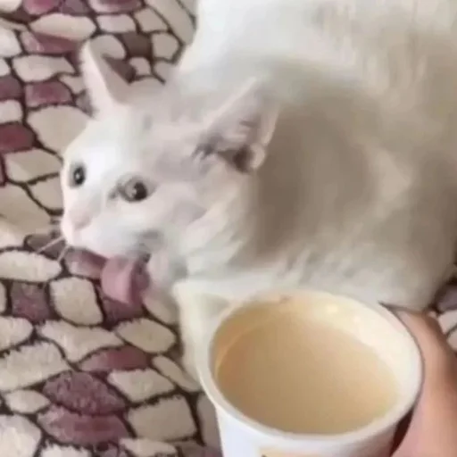 Sticker астероиды - 7