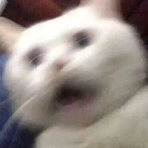 Sticker астероиды - 6