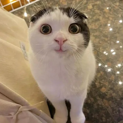 Sticker астероиды - 5