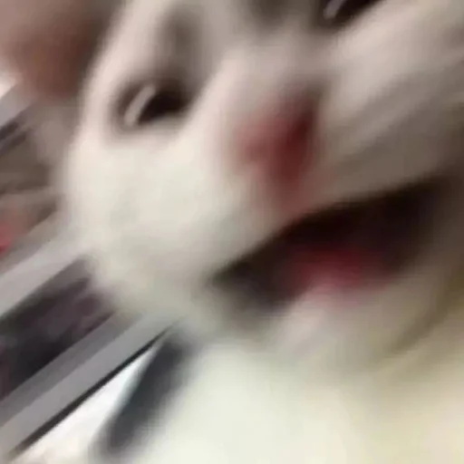 Sticker астероиды - 3