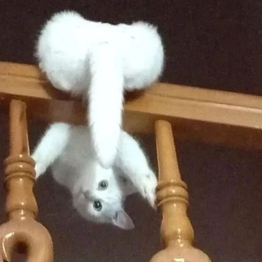 Sticker астероиды - 2