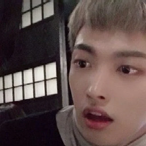 человеческое лицо Человек бровь