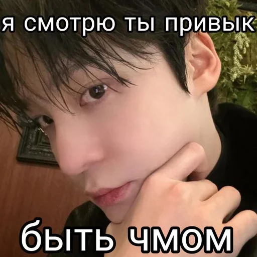 Стикер ateezbogi - 1