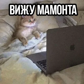 Стикер Стикеры👉 @stikeru7777 - 5