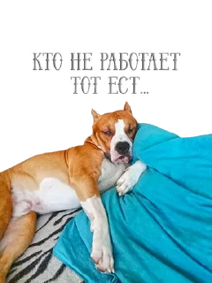 Стикер ATM POS OMSK - 0