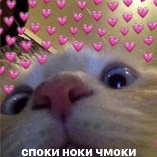 Sticker жызнъ - 11