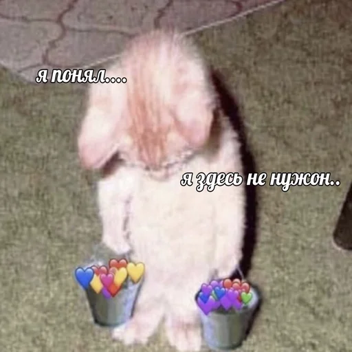 Sticker жызнъ - 9