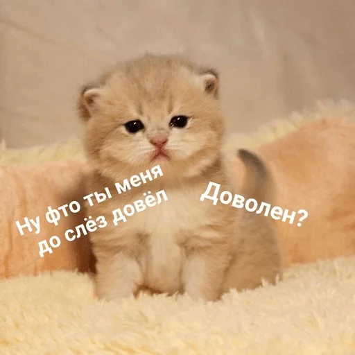 Sticker жызнъ - 8