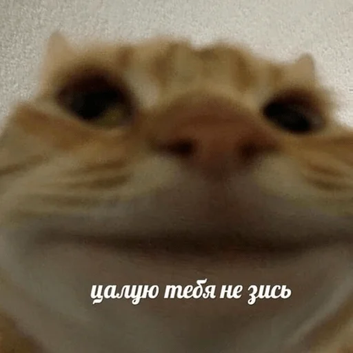 Sticker жызнъ - 7