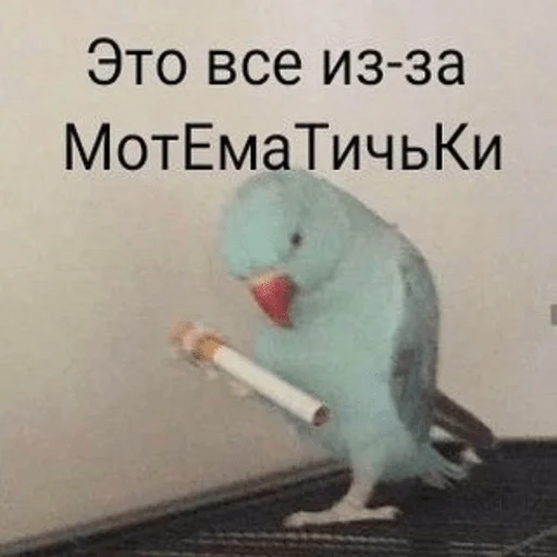 Sticker жызнъ - 3