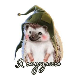 Sticker Ёжик Атти - 10