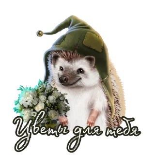 Sticker Ёжик Атти - 1