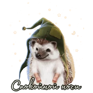 Sticker Ёжик Атти - 6