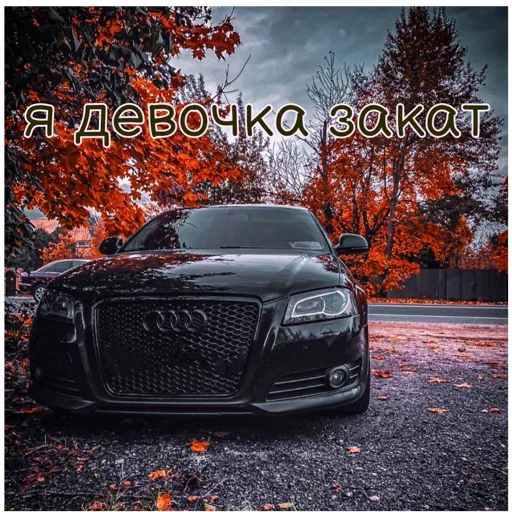 ауди - human face