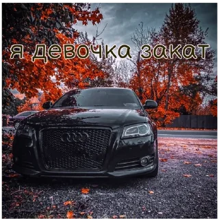 vehicle car land vehicle