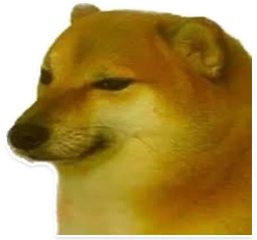 Стикер auok? - 10