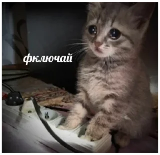 Sticker инкрустация золотом бу @hohlitsa - 0