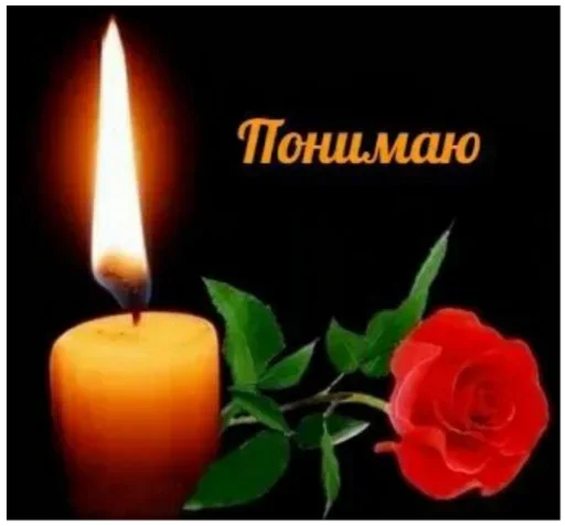 Sticker aurummmmzayebis - 1