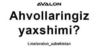Sticker AVALON FON - 1