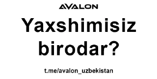 Sticker AVALON FON - 0