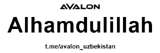 Sticker AVALON FON - 3