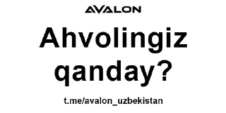 Sticker AVALON FON - 9