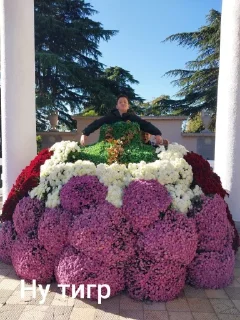 Sticker 6ксв @TgEmodziBot - 9