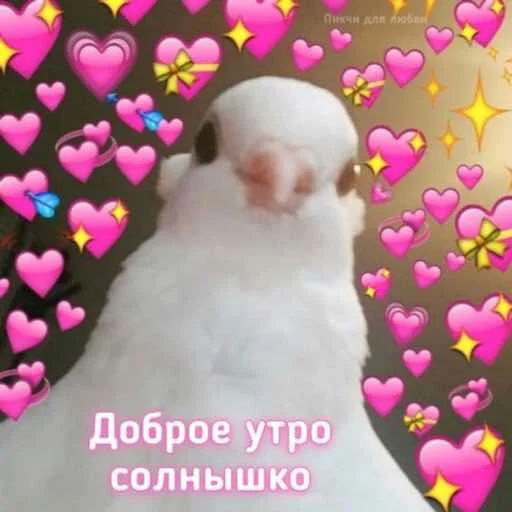 животное птица снеговик