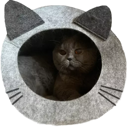 Sticker avtozack - 1