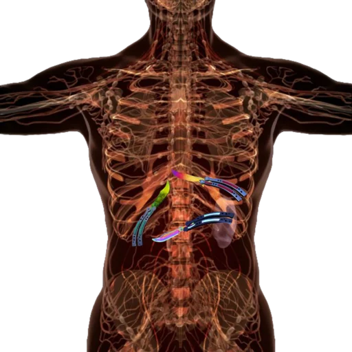 Стикер avtozack - 1