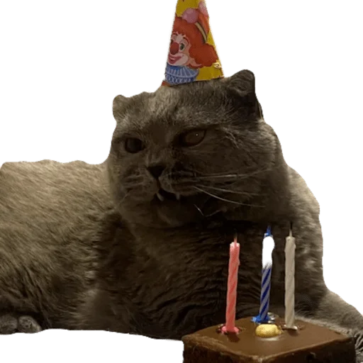 Sticker avtozack - 1