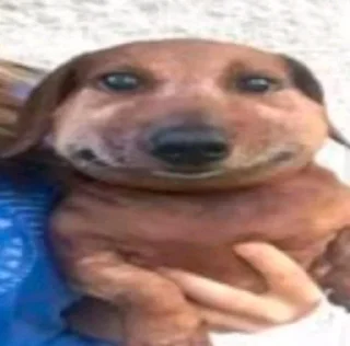 Sticker Топ стикеры 👉 @Femoji - 5