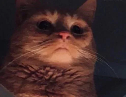 Стикер ax_7iz - 1