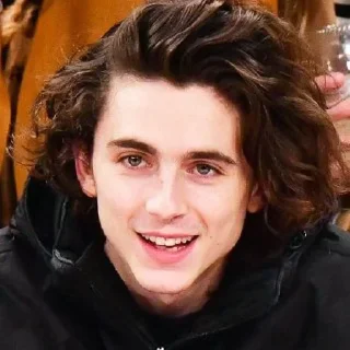 Стикер •{ @Angelsofdevils }• Timothee Chalamet - 9