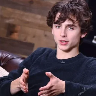 Стикер •{ @Angelsofdevils }• Timothee Chalamet - 4