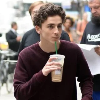 Стикер •{ @Angelsofdevils }• Timothee Chalamet - 0
