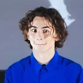 Стикер •{ @Angelsofdevils }• Timothee Chalamet - 2