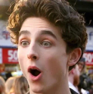 Стикер •{ @Angelsofdevils }• Timothee Chalamet - 6