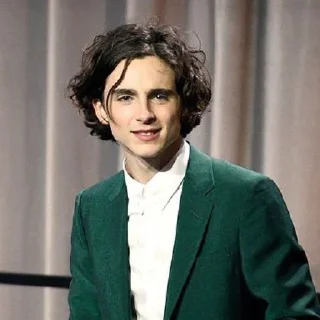 Стикер •{ @Angelsofdevils }• Timothee Chalamet - 8