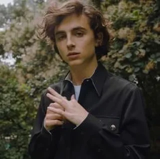 Стикер •{ @Angelsofdevils }• Timothee Chalamet - 11
