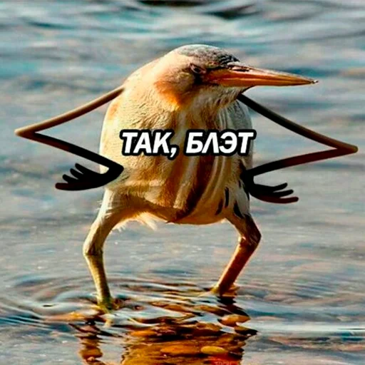 Стикер axeland - 1