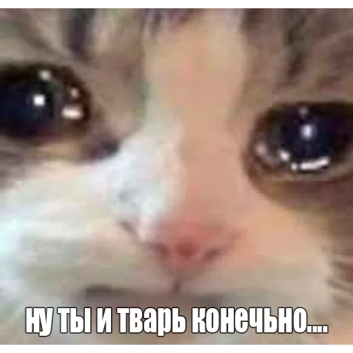 Стикер axeland - 1