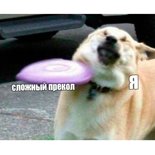 Стикер axeland - 1