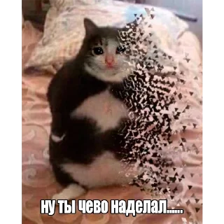 Стикер Пак Алексеюшко - 9