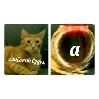 Стикер Пак Алексеюшко - 7