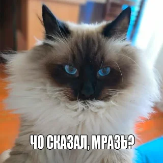 Стикер Пак Алексеюшко - 5