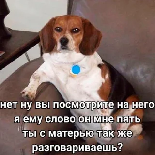 Стикер Пак Алексеюшко - 2